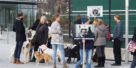 Proteste Gegen Tierversuche Am Cin Universität Tübingen