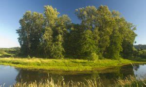 Fall Maintenance at Oxbow Farm & Conservation Center - Stewardship Partners