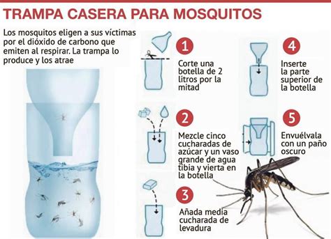 Recursos Caseros Contra Los Mosquitos Trampa Casera Para Mosquitos