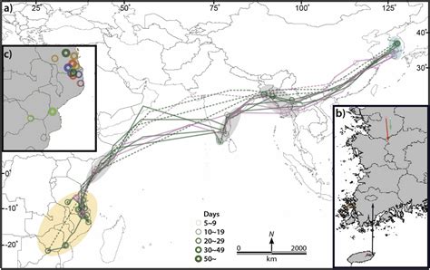 Cuckoos’ migration from South Korea to the South of Africa - Argos