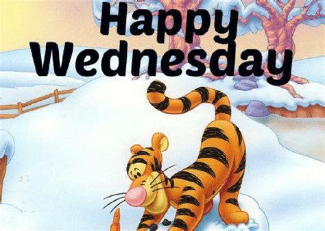 Best 25 Happy Wednesday Meme To Share | by Erica Gray | Medium