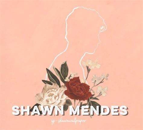 Shawn Mendes Album Cover Art - Iweky