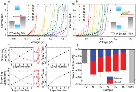 Layer‐number‐dependent Carrier Transport Properties In Wse2 And Its