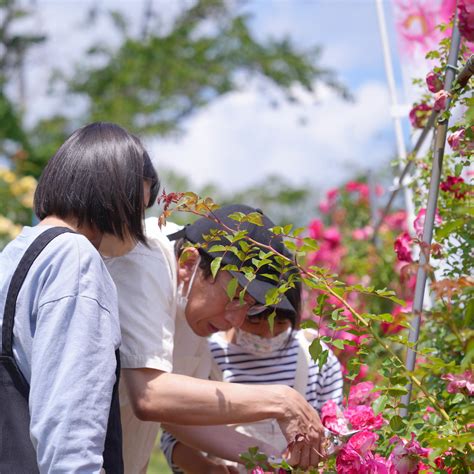 【ハッシンテーマ】令和5年度こばやしの人とまちが輝く！元気と笑顔ハッシン事業 実績報告／宮崎県小林市公式ホームページ Kobayashi City