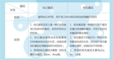 产物知识分享：教你辨析标记基因和报告基因基因报告标记作用细胞检测