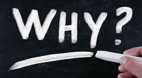 Understanding Your ‘why’ A Week Of Insights And Inspirations By Paul Segreto Medium