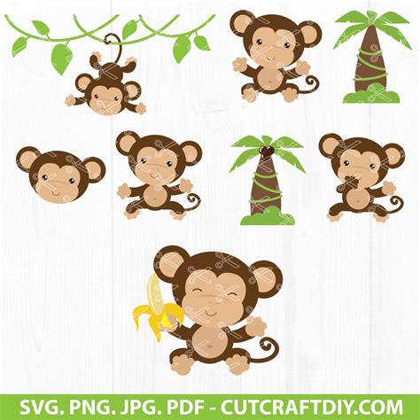 Monkey Svg Digital Drawing Illustration Etna Pe