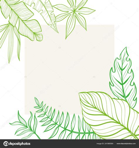 Frame With Tropical Leaves Postcard Hand Drawn Illustration Line