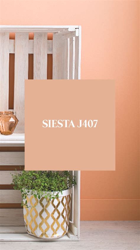 Siesta J Orange Paint Paint Selections Paint Shades