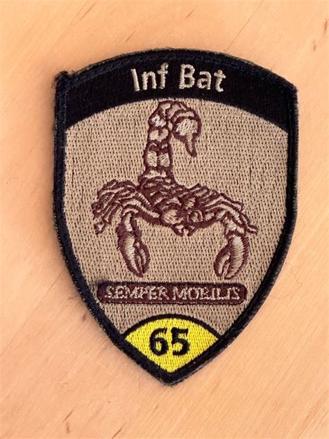 Badge Militar Arm E Xxi Inf Bat Klett Kaufen Auf Ricardo