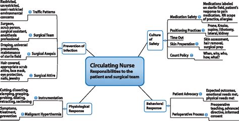 Sample Nursing Concept Map