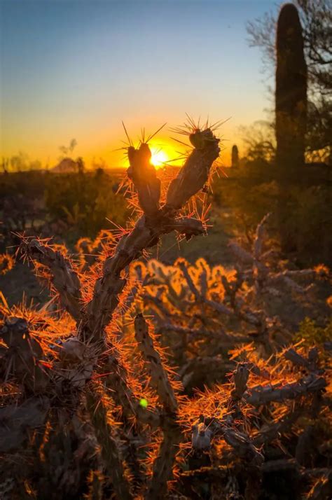 14 Tucson Sunset Spots To Admire The Stunning Views