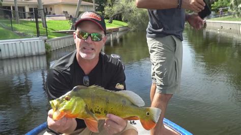 Catching Peacock Bass With Lucky Tackle Box Youtube