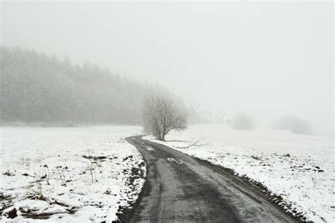 Snowy Winter Landscape Stock Image Image Of Lonely Bleak 15954089