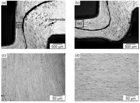 Metals Free Full Text The Influence Of Heat Treatment On The