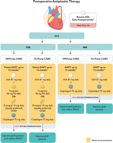 New Focused Update Of The Guidelines For The Use Of Antiplatelet