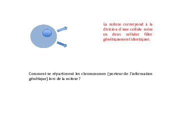 Chapitre Reproduction Conforme De La Cellule Et R Plication D Adn