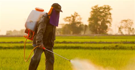 The Dangers Of Pesticide Exposure Delaware Toxic Tort Lawyers