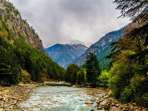 Book Jammu And Kashmir Tour Package From Bangalore Surfnxt