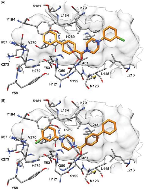 Docking Of Compound 1 Into MAGL A Binding Mode A B Binding Mode B