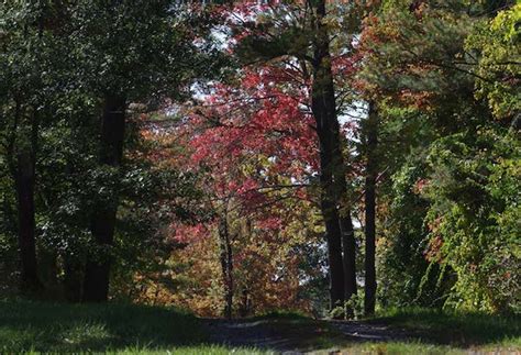 PM Water Cooler Naked Capitalism
