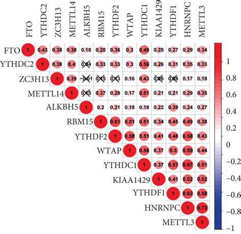 Expression of 13 m6A modification-related genes in HCC and their ...