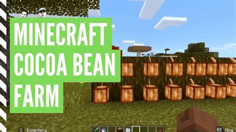 Cómo cultivar granos de cacao en Minecraft Guía fácil paso a paso