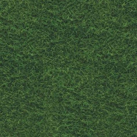 Grass floor | Gräser, Gras, Textur