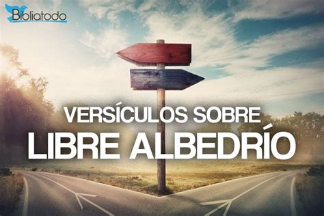 20 Versículos De La Biblia Sobre Libre Albedrío