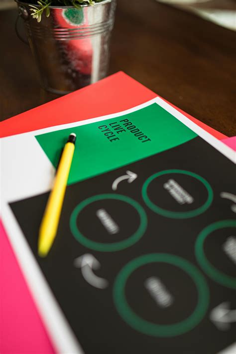 infographic      infographic stock