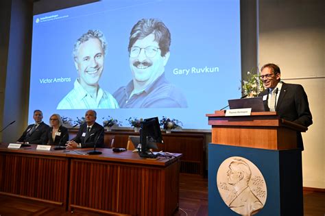 ¿quién Ganó El Premio Nobel De Medicina 2024 Victor Ambros Y Gary Ruvkun