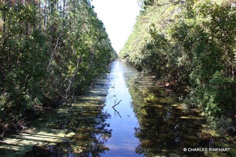 The Lehigh Trail In Palm Coast Florida