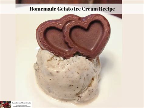 Homemade Gelato Ice Cream Recipe - Experimental Homesteader