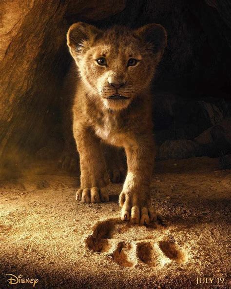 Phim Live Action Lion King C A Disney Tung Teaser Qu Gi Ng B N Ho T