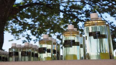 Utiliser un vaporisateur de parfum : Comment le choisir