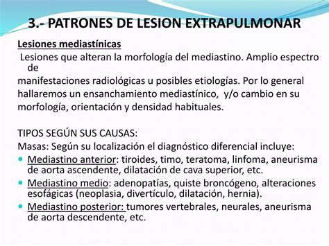 Principales Patrones Radiológicos En La Placa Simple De Tórax Ppt