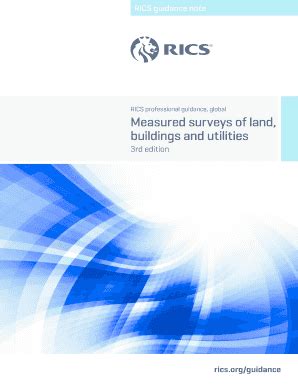 Fillable Online RICS Professional Guidance Global Fax Email Print