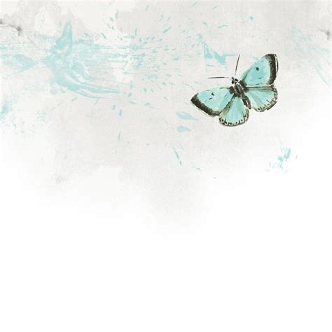 Sterktekaart Pastel Aquarel Butterfly Kaartje2go