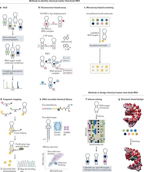 Nature Reviews Drug Discovery On Twitter Targeting Rna Structures With Small Molecules