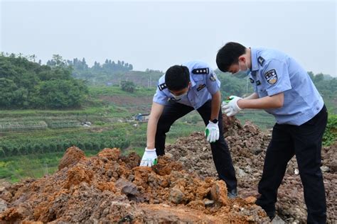 《长江保护法》施行两年，重庆警方侦破1200余起涉环境刑事案 新闻频道 和讯网