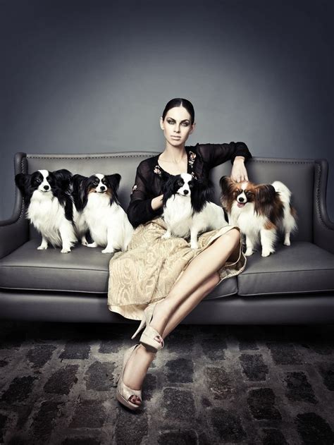 Papillons | Dog photoshoot, Papillon dog, Dog fashion photography