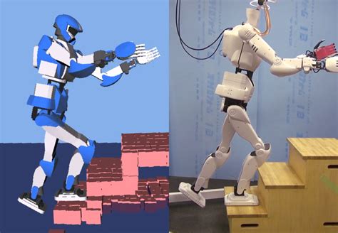 supervoxel plane segmentation  multi contact motion generation