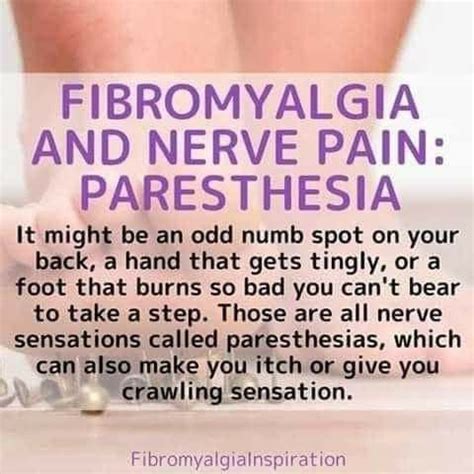 Fibromyalgia Pain Relief Fibromyalgia Syndrome Fibromyalgia Treatment