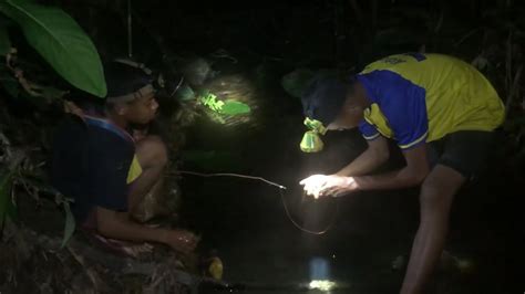 Fishing Camp Di Hutan Kalimantan Mencari Ikan Lembat Dan Baung Sungai