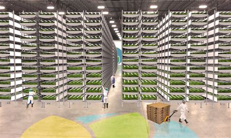 Aerofarms Is Building The World S Largest Indoor Vertical Farm Just