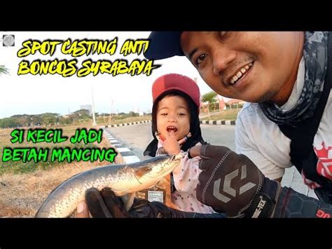 Mancing Gabus Haruan Casting Di Pusat Kota Surabaya Soft Frog Killer