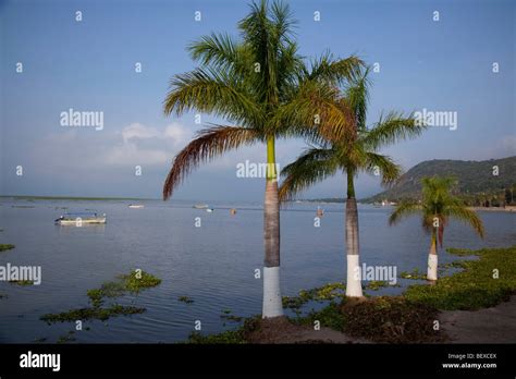 Chapala Lake Chapala Jalisco Mexico Stock Photo Alamy