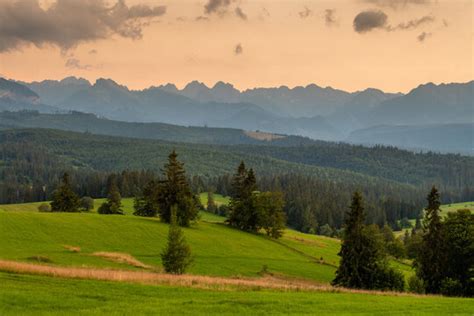 「Kilka」の写真素材 | 2,694件の無料イラスト画像 | Adobe Stock