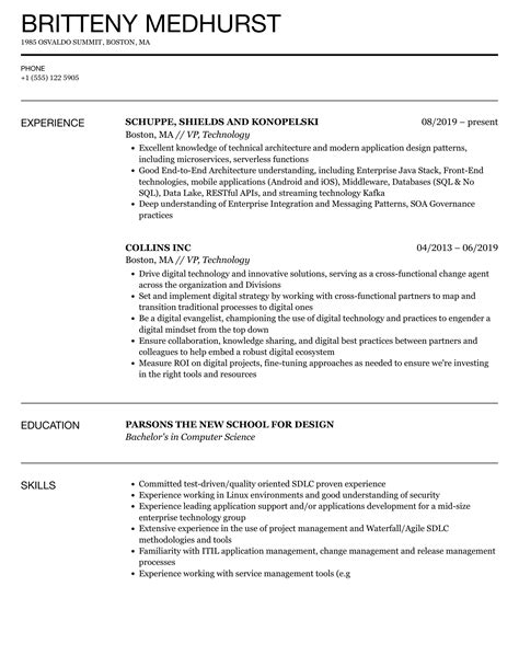 Vp Technology Resume Samples Velvet Jobs