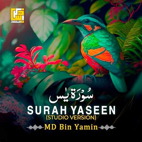 Surah Yaseen Studio Version De Md Bin Yamin Sur Amazon Music Unlimited